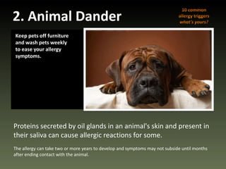 Dander Definition Uncover your allergy triggers | PPSX