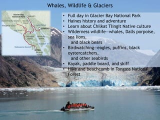 Whales, Wildlife & Glaciers
• Full day in Glacier Bay National Park
• Haines history and adventure
• Learn about Chilkat Tlingit Native culture
• Wilderness wildlife—whales, Dalls porpoise,
sea lions,
and black bears
• Birdwatching—eagles, puffins, black
oystercatchers,
and other seabirds
• Kayak, paddle board, and skiff
• Hike and beachcomb in Tongass National
Forest
 