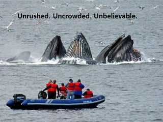 Unrushed. Uncrowded. Unbelievable.
 