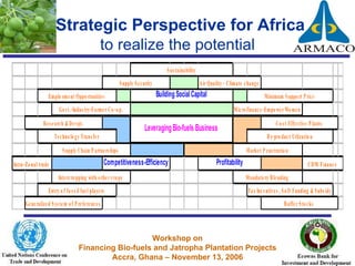 Strategic Perspective for Africa   to realize the potential 