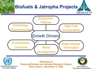 Biofuels & Jatropha Projects High Fuel  Consumption Better Market  Information Rural  Development Technology  Improvements Supportive  Policies Environment  Concerns Growth Drivers 