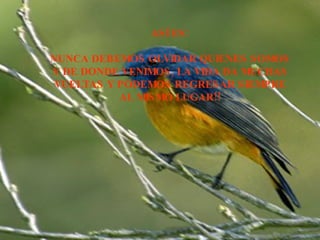 ASÍ ES: NUNCA DEBEMOS OLVIDAR QUIENES SOMOS Y DE DONDE VENIMOS, LA VIDA DA MUCHAS VUELTAS Y PODEMOS REGRESAR SIEMPRE AL MISMO LUGAR!! 