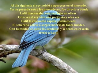 Al día siguiente el rey volvió a aparecer en el mercado.  Ya no paseaba entre los mercaderes, fue directo a donde Lafit descansaba, esta vez bajo un olivar.  Otra vez el rey hizo una pregunta y otra vez  Latif la respondió rápida y sabiamente.  El soberano volvió a sorprrenderse de tanta lucidez.  Con humildad se quitó las sandalias y se sentó en el suelo frente a Latif.    