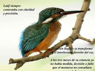 Latif siempre contestaba con claridad y precisión. El recién llegado se transformó en el interlocutor favorito del rey.  A los tres meses de su estancia ya no había medida, decisión o fallo que el monarca no consultara con su preciado asesor. 