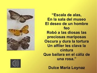 “Escala de alas,
  En la sala del museo
 El deseo de un hombre
            feo
  Robó a las diosas las
  preciosas mariposas
Oscura y dura la tortura
  Un alfiler les clava la
          cintura
Que bailara en el cáliz de
       una rosa.”

  Dulce María Loynaz
 