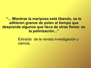 “... Mientras la mariposa está libando, se le
    adhieren granos de polen al tiempo que
desprende algunos que lleva de otras flores: es
                la polinización...”

        Extraído de la revista investigación y
        ciencia.
 