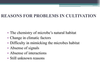 REASONS FOR PROBLEMS IN CULTIVATION
• The chemistry of microbe’s natural habitat
• Change in climatic factors
• Difficulty in mimicking the microbes habitat
• Absense of signals
• Absense of interactions
• Still unknown reasons
 