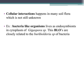 • Cellular interactions happens in many soil flora
which is not still unknown
• Ex : bacteria like organisms lives as endosymbionts
in cytoplasm of Gigaspora sp. This BLO’s are
closely related to the burkholderia sp of bacteria
 