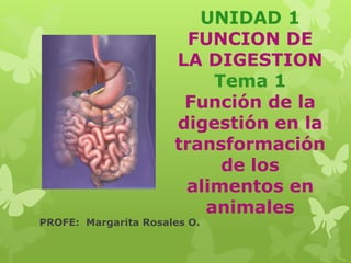 UNIDAD 1
FUNCION DE
LA DIGESTION
Tema 1
Función de la
digestión en la
transformación
de los
alimentos en
animales
PROFE: Margarita Rosales O.
 