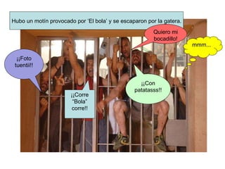 Hubo un motín provocado por ‘El bola’ y se escaparon por la gatera. ¡¡Foto tuentii!! ¡¡Corre “Bola” corre!! mmm... Quiero mi bocadillo! ¡¡Con patatasss!! 