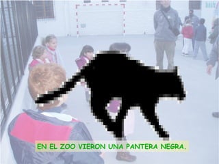 EN EL ZOO VIERON UNA PANTERA NEGRA.