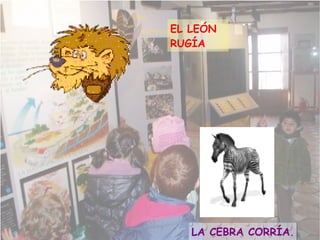 EL LEÓN RUGÍA LA CEBRA CORRÍA .
