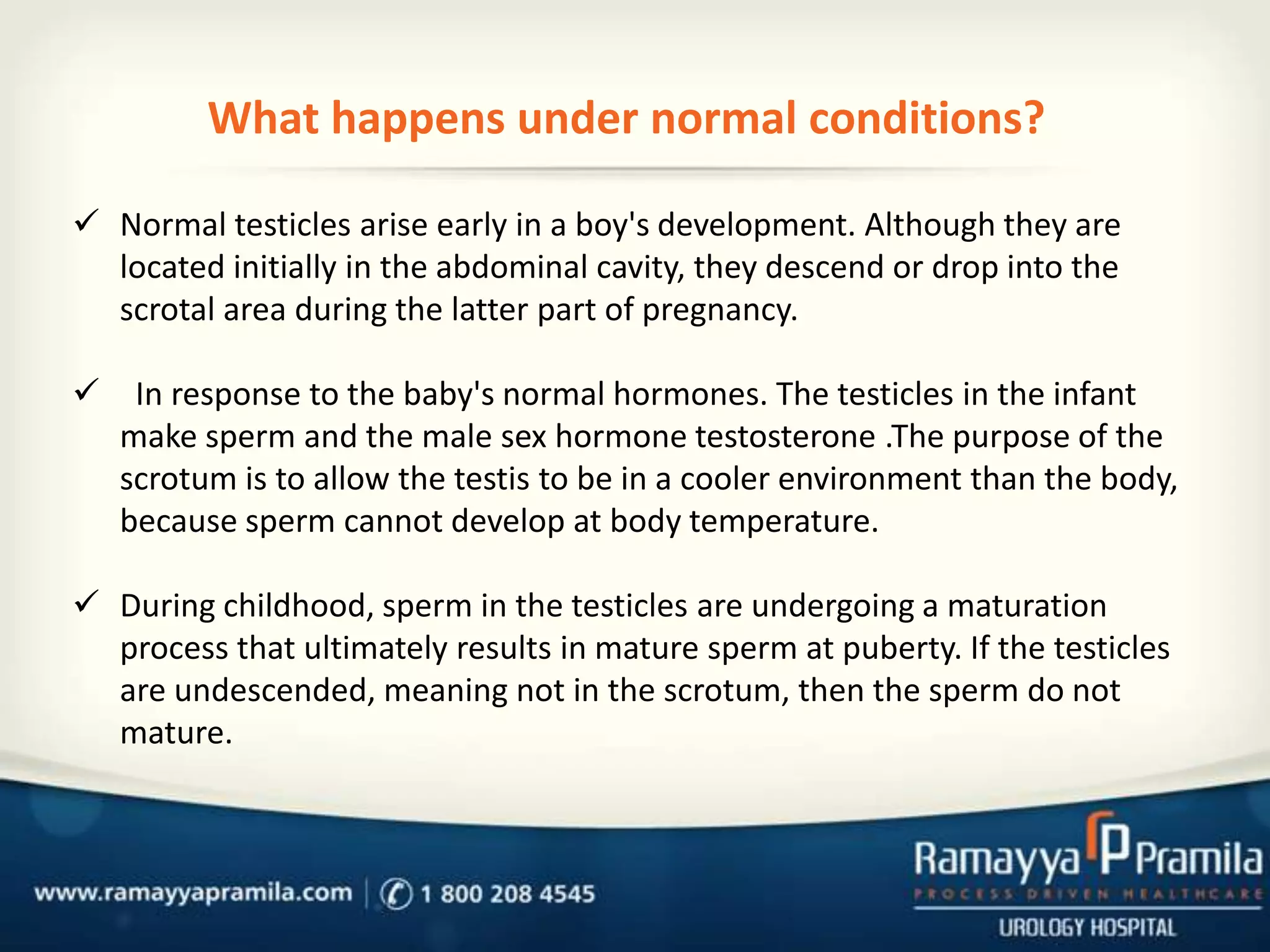 What happens under normal conditions?
 Normal testicles arise early in a boy's development. Although they are
located initially in the abdominal cavity, they descend or drop into the
scrotal area during the latter part of pregnancy.


In response to the baby's normal hormones. The testicles in the infant
make sperm and the male sex hormone testosterone .The purpose of the
scrotum is to allow the testis to be in a cooler environment than the body,
because sperm cannot develop at body temperature.

 During childhood, sperm in the testicles are undergoing a maturation
process that ultimately results in mature sperm at puberty. If the testicles
are undescended, meaning not in the scrotum, then the sperm do not
mature.

 