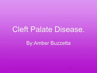 Cleft Palate Disease. By:Amber Buzzetta 