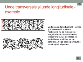 Unde transversale şi unde longitudinale -
exemple


                        Unde plane: longitudinală – prima
                        şi transversală – a doua.
                        Particulele nu se mişcă de-a
                        lungul tubului, respectiv de-a
                        lungul firului. Ele oscilează în
                        vecinătatea poziţiilor lor de
                        echilibru. Alege câte o particulă şi
                        urmăreşte-i mişcarea!
 