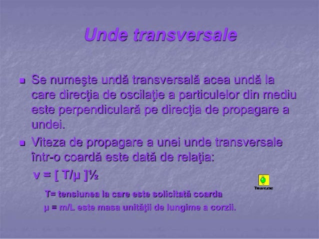 Unde mecanice