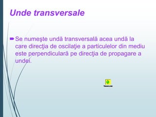 Unde transversale
Se numeşte undă transversală acea undă la
care direcţia de oscilaţie a particulelor din mediu
este perpendiculară pe direcţia de propagare a
undei.
 