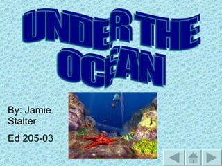 UNDER THE  OCEAN  By: Jamie Stalter  Ed 205-03  