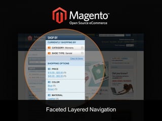 Faceted Layered Navigation 