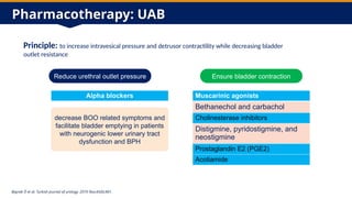 Underactive Bladder Management DGM Slides[1].pptx