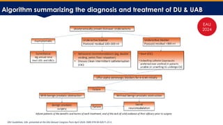 Underactive Bladder Management DGM Slides[1].pptx