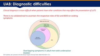 Underactive Bladder Management DGM Slides[1].pptx