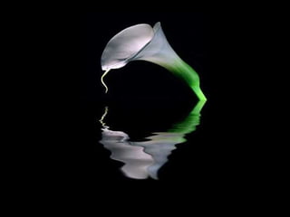 Underwater and on earth