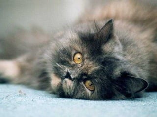 Underwater and on earth