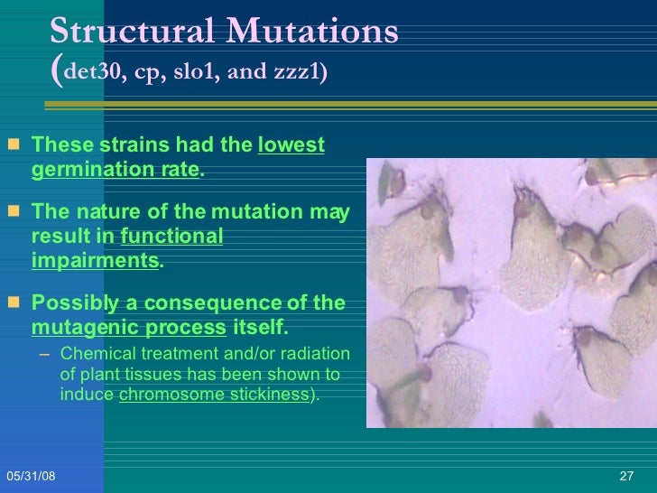 Undergraduate thesis defense questions picture