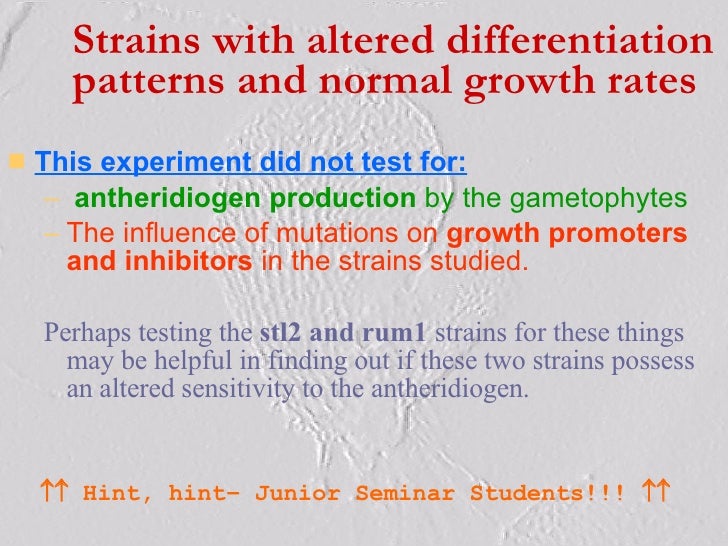 Senior thesis defense picture
