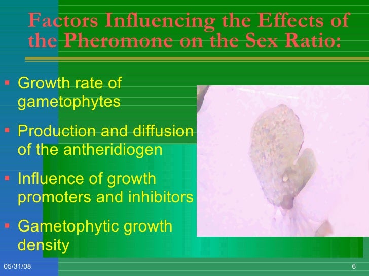 Undergraduate thesis defense picture