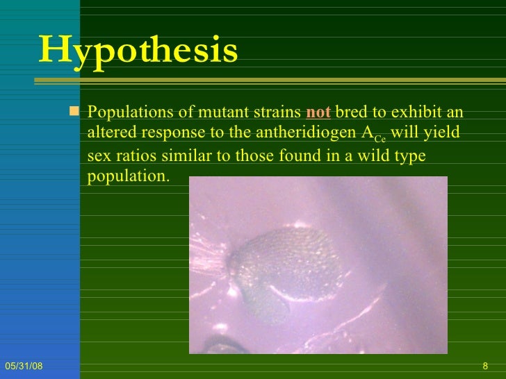 Thesis defense opening statement picture