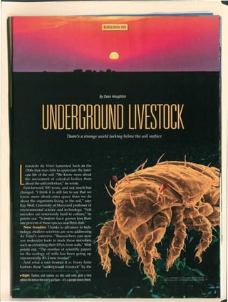 Underground livestock
