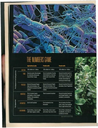 Underground livestock