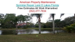 American Property Maintenance
Sprinkler Repair Land O Lakes Florida
Free Estimates All Work Warrantied
(352) 277-7834
 