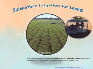 Using an underground drip method to Subsurface Irrigation for Lawns can save wat
er and no loss to evaporation. For more details call us on 08 85232350.
www.subsurfaceirrigation.com.au
 