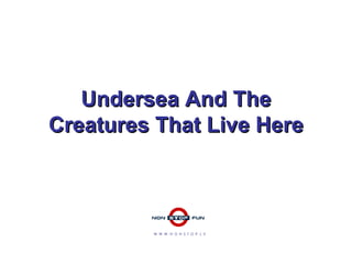 Undersea And The Creatures That Live Here W  W  W  .  N  O  N  S  T  O  P  .  L  V 