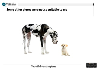 Understand Open Source ecosystems