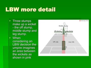 Lbw Example Understand cricket | PPS