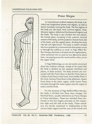 Understanding your own feet