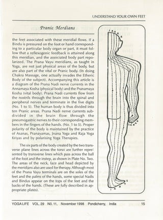 Understanding your own feet