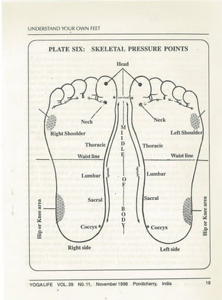 Understanding your own feet