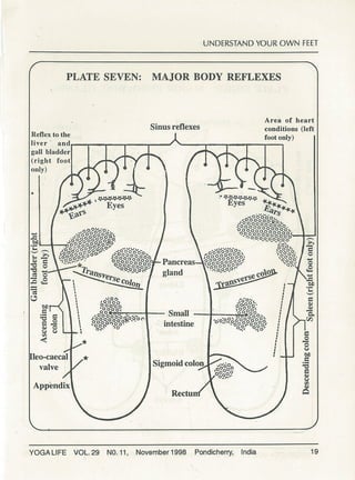 Understanding your own feet