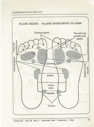 Understanding your own feet