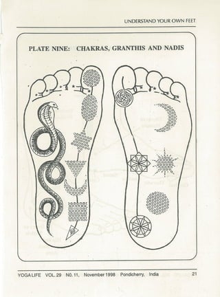 Understanding your own feet