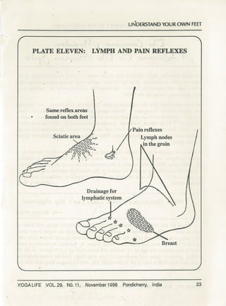 Understanding your own feet