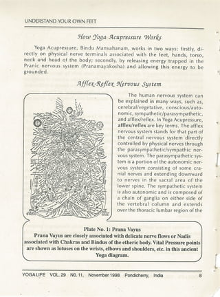 Understanding your own feet