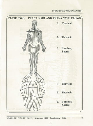 Understanding your own feet