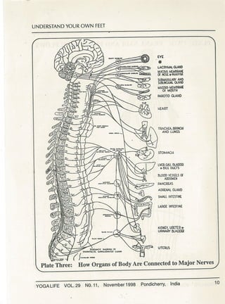Understanding your own feet