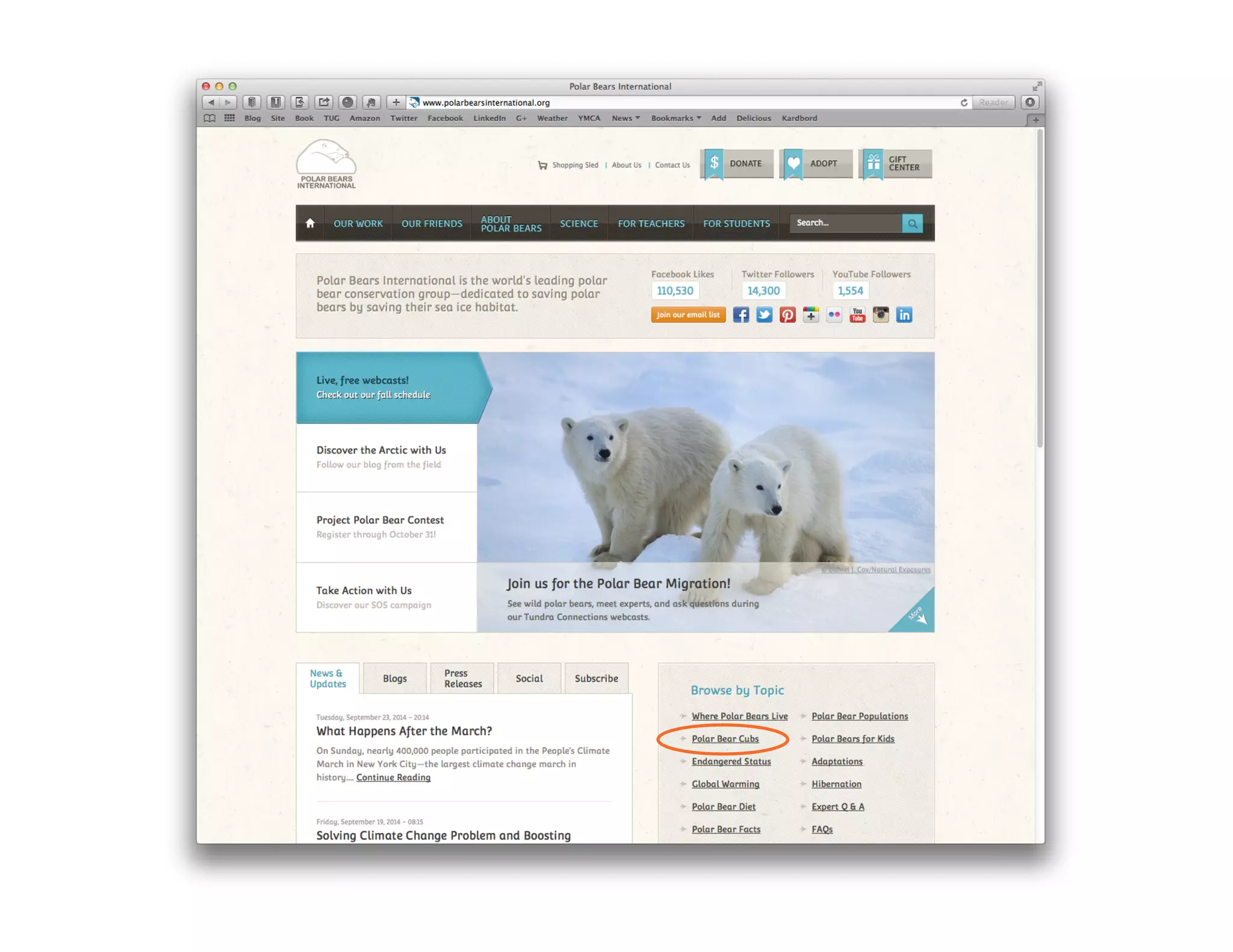 The Architecture of Understanding